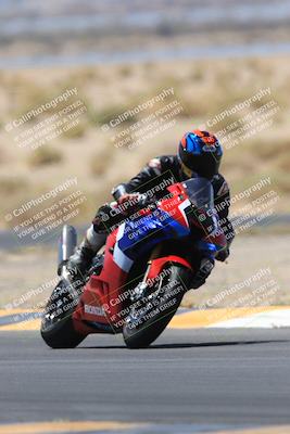 media/May-14-2023-SoCal Trackdays (Sun) [[024eb53b40]]/Turn 5 Tree of Life (1125am)/